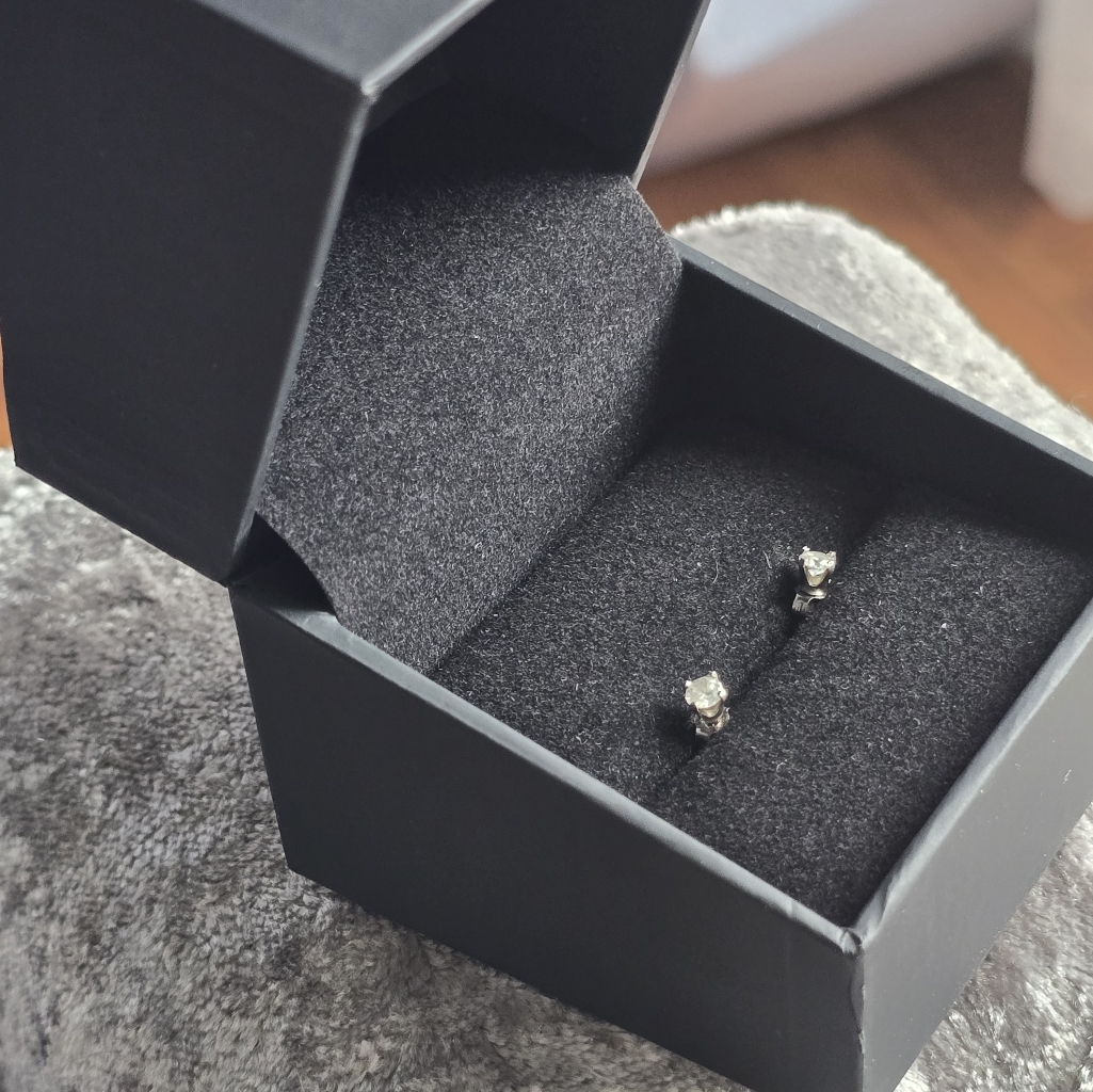 Elegant Silver Stud Earrings 200$